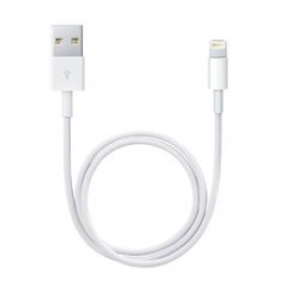 Original Apple Lightning auf USB Kabel (ME291ZM/A) 0,5m