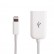 USB Female to 8pin Male Adapter Cable für iPhone/ iPad  Length: 18cm (White)